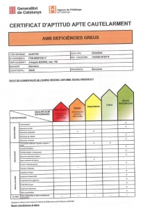 CertificatAptitud-206x300